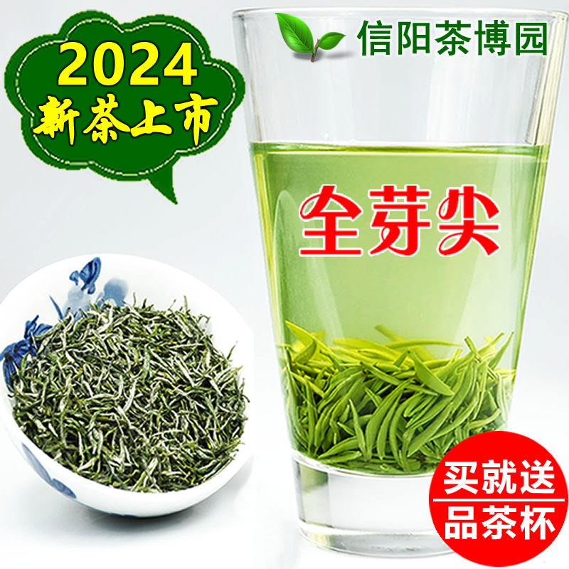 2024新茶信阳毛尖明前特级全芽尖