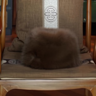 筒子帽子冬季（咖啡色）皮毛女秋冬帽子