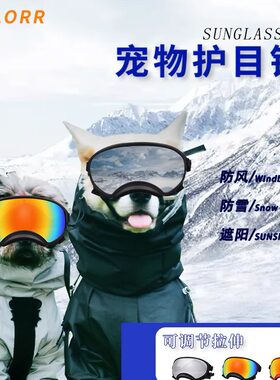 新款Anlorr宠物时尚炫酷太阳镜