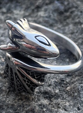 ROCK PUNK“小飞龙”朋克钛钢戒指嘻哈精致个性时尚高级感食指环