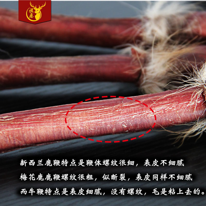 吉林梅花鹿鹿鞭40克新鲜干燥炖汤泡酒料滋补壮鹿肾阳滋补调顺丰