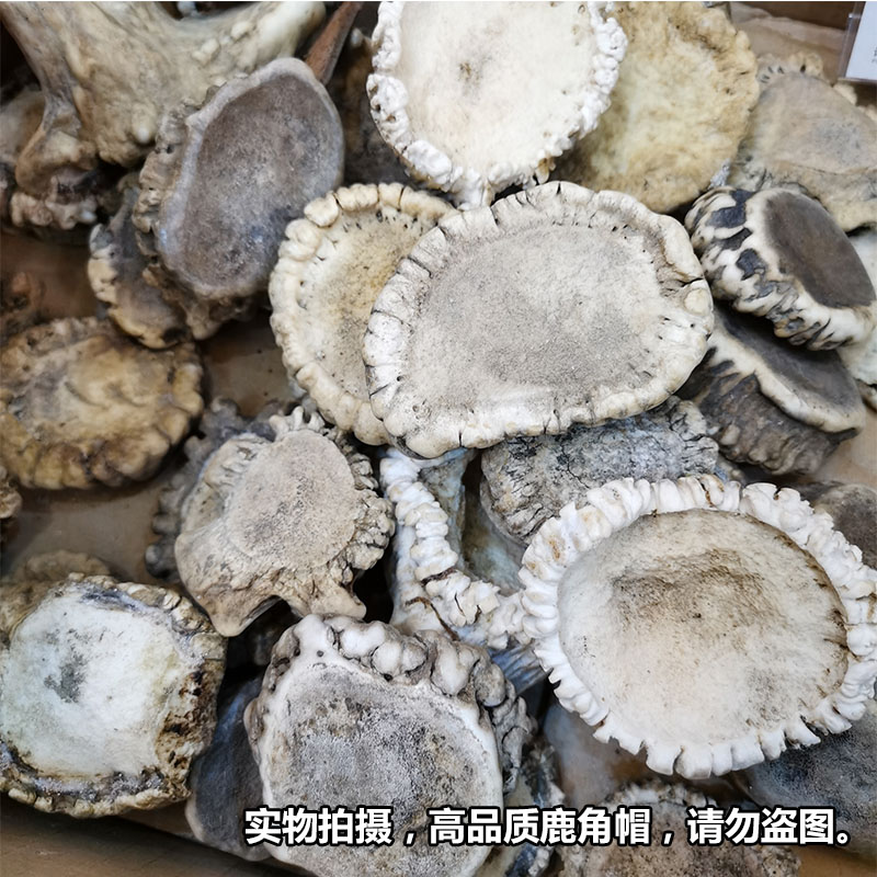 250克自然脱落吉林鹿角帽东北鹿托盘半斤免费帮打粉备注 包邮