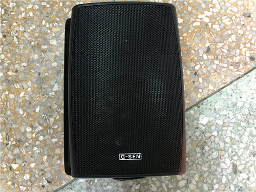 G-SEN/奇胜FT204 FT205 FT206定压 定阻两用挂壁式音箱 挂壁喇叭