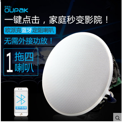 蓝牙无线连接 传输稳定 有源无需功放 即连即放