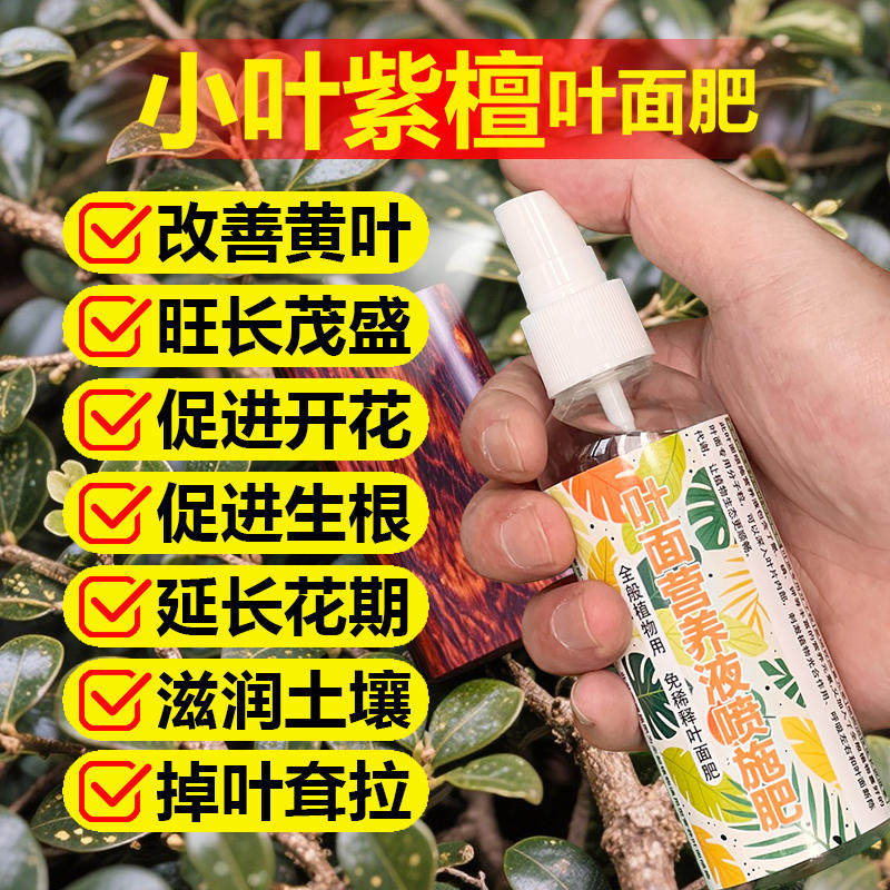 小叶紫檀专用肥料养护盆栽盆景树苗紫檀树黑骨茶树营养液叶面肥料