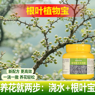 植物专用肥料花肥绿植夏威夷竹土壤复合营养液叶面肥水溶化肥料