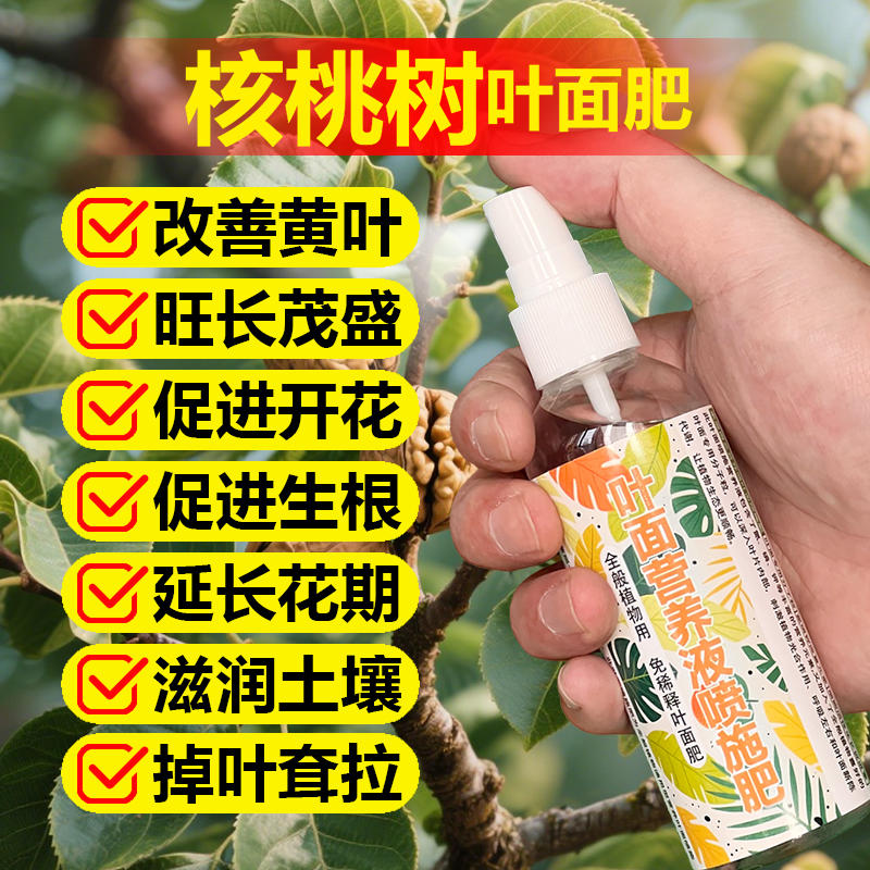 核桃果树专用肥料盆栽种植核桃树营养液变黑干焦发黄干枯叶面肥料