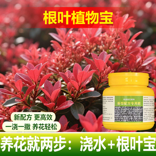 植物专用肥料土壤富贵椰子树夏威夷竹袖珍椰子树营养液叶面肥料