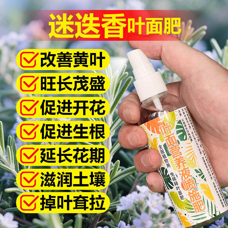 迷迭香专用肥料盆栽营养液促生长开花肥茂密粗壮旺长爆盆叶面肥料图片