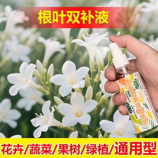 植物专用肥料七叶莲营养液叶子枯黄叶斑发黑打蔫耷拉掉叶面肥料