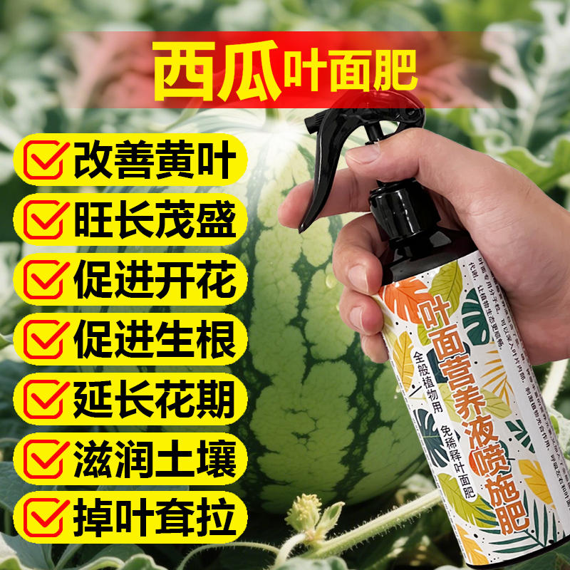 西瓜生长专用肥料种植育苗发芽阳台盆栽有机肥营养液粗壮长藤肥料