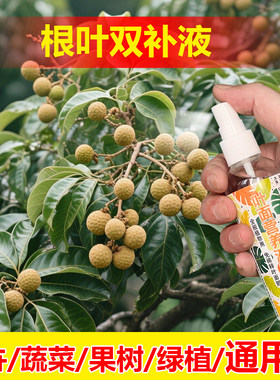 植物专用肥料营养液吉利红花烂叶子发软焦尖发黑发黄发蔫软下垂