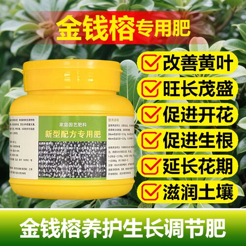 金钱榕专用肥料肥小苗大盆栽老桩盆景金钱榕树苗营养液土培化肥料