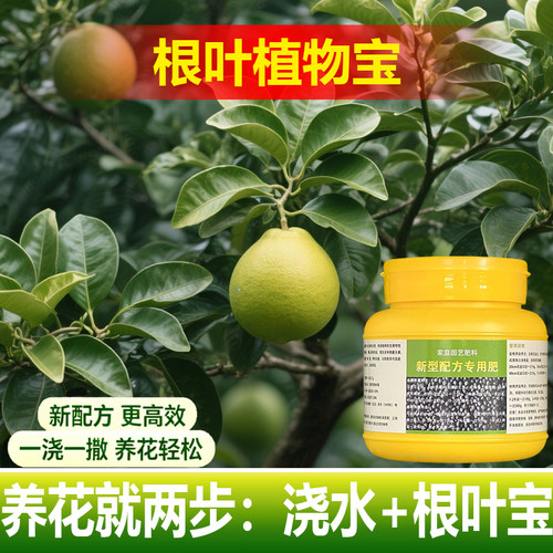 植物专用肥料盆景树苗土壤复合营养液氮磷钾肥叶面肥水溶化肥料