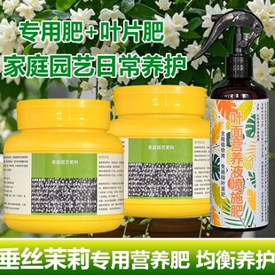 垂丝茉莉专用肥料爬藤盆栽风车茉莉花肥年宵花土壤营养液叶面肥料