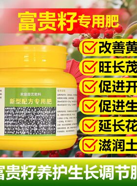 富贵子专用肥料富贵籽营养液尖焦枯萎发黄耷拉卷曲发蔫掉叶面肥料