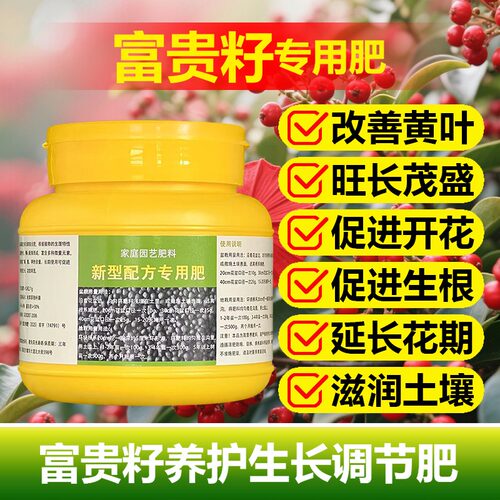 富贵子专用肥料富贵籽营养液尖焦枯萎发黄耷拉卷曲发蔫掉叶面肥料