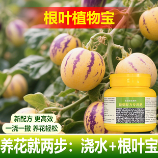 植物专用肥料花盆栽绿植专用土夏威夷竹营养液叶面肥氮磷钾肥料