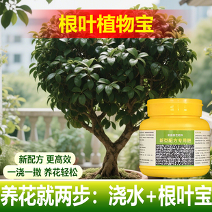 植物专用肥料盆栽营养液叶焦边干枯叶斑尖枯黄叶子下垂叶面肥料