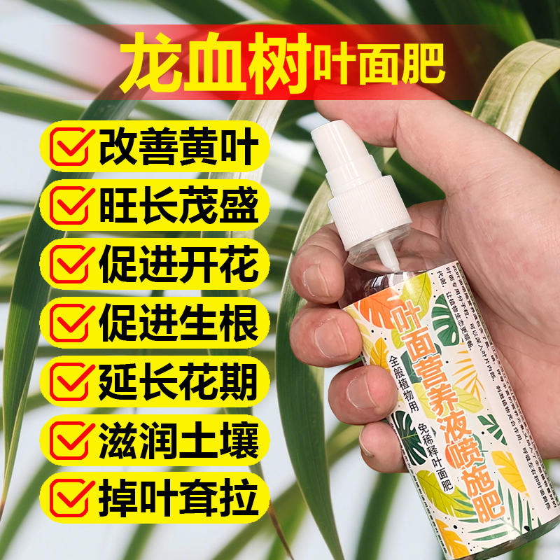 龙血树专用肥料绿植盆栽树苗土壤复合营养液叶面肥缓释肥有机肥料