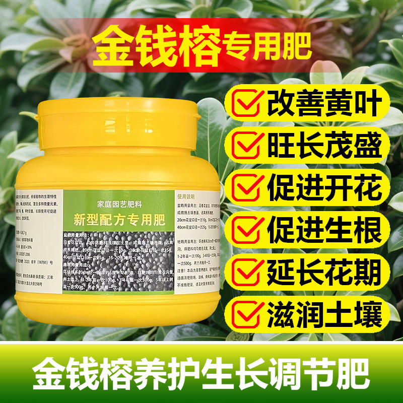 金钱榕专用肥料肥小苗大盆栽老桩盆景金钱榕树苗营养液土培化肥料