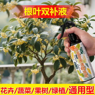 植物专用肥料土清香胡椒木营养液发黄枯萎掉落下垂软蔫叶面肥料