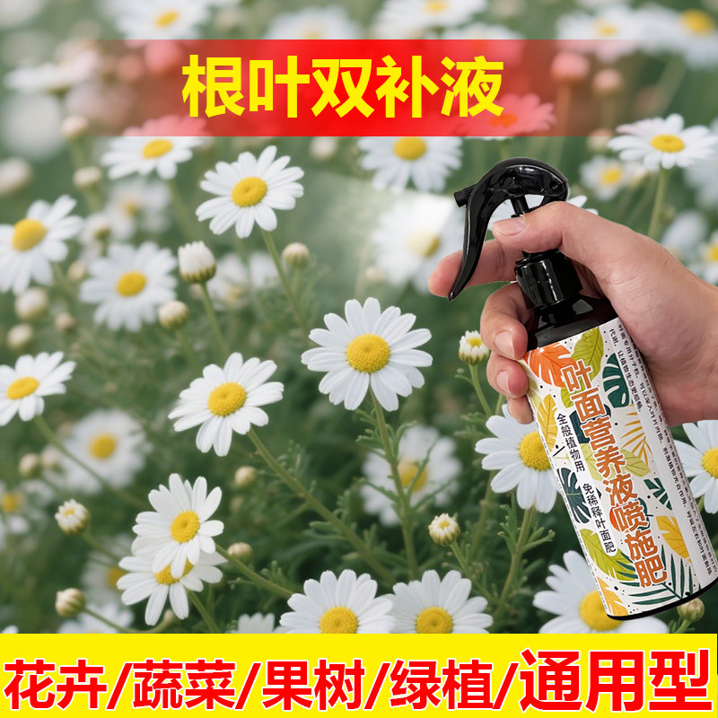 植物专用肥料杨桃果树营养液氮磷钾有机肥盆栽种植土水溶化肥料图片