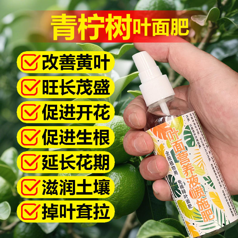 青柠树专用肥料盆栽种植小青柠果树苗专用土营养液氮磷钾叶面肥料