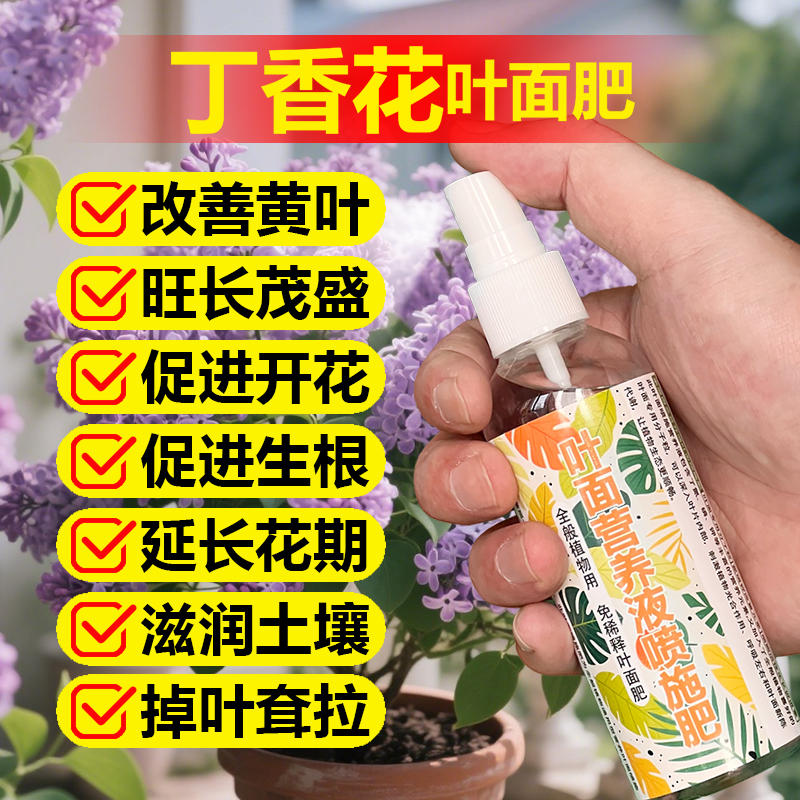 丁香花专用肥料庭院地栽盆栽丁香花树苗种植营养液养殖花卉花肥料