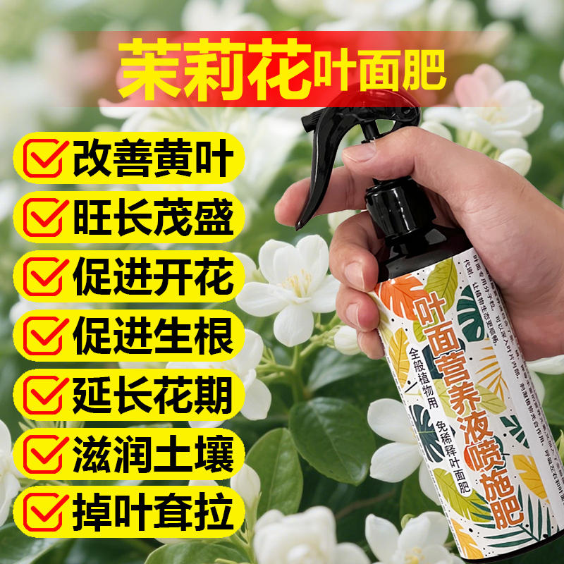 茉莉花专用肥料阳台盆栽植物营养液茉莉花树苗老桩室内养殖花肥料
