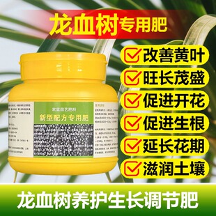 龙血树专用肥料树苗营养液腐烂发软干瘪叶尖焦黄干枯黑斑叶面肥料