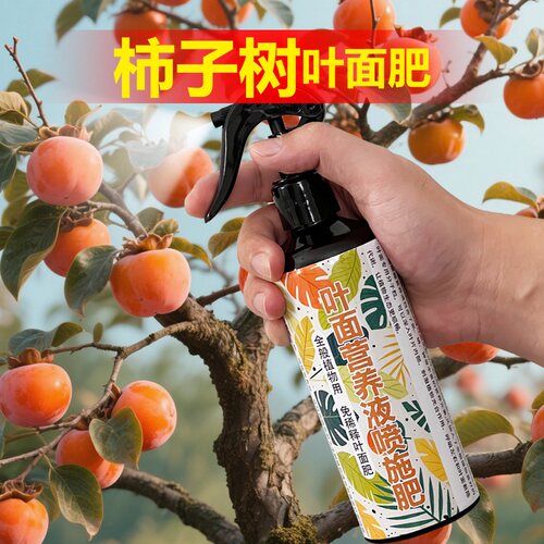 柿子果树专用肥料盆栽种植柿子树苗营养液氮磷钾颗粒浓缩有机肥料