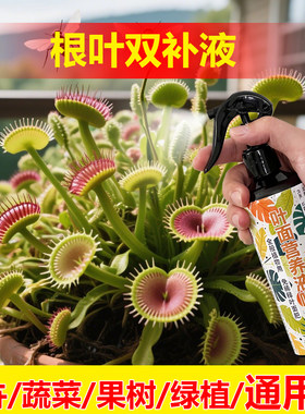 植物树专用肥料盆栽种植枇杷树苗营养液发黄干枯焦下垂叶面肥料