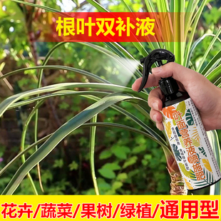 植物专用肥料养殖盆栽花肥土营养液叶子卷缩枯黄脱落掉叶面肥料