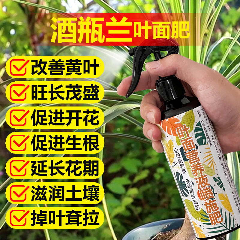 酒瓶兰专用肥料室内盆栽绿植物营养液防叶子干枯黄蔫锈斑花卉肥料