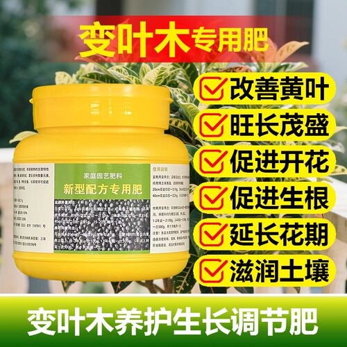 变叶木用肥料花盆栽绿植七彩变色木洒金榕专用土营养液叶面肥肥料