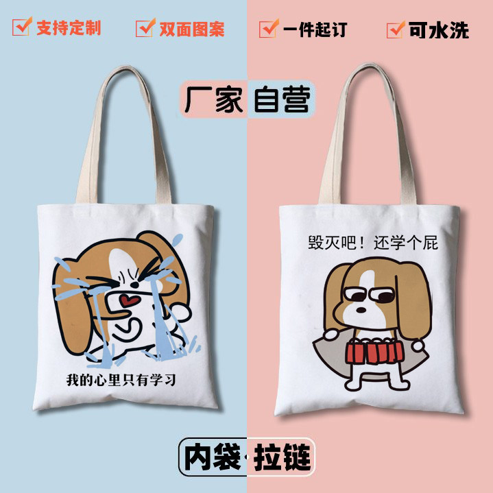 暹罗厘普比格多栋ins帆布包便携拉链手提袋学生上课补习包斜挎包