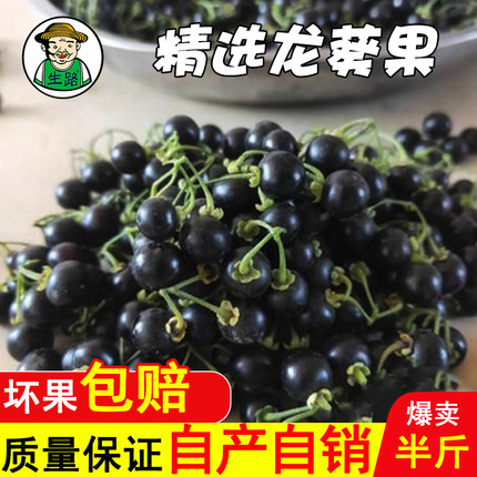 顺丰包邮 野生鲜龙葵果250克新鲜农产品野果子黑天天药食两用水果