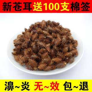 苍耳子中药材正宗野生成熟带刺毛苍耳泡脚鼻苍耳草新货包邮送棉签