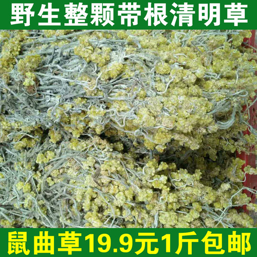 野生整颗鼠曲草带根清明草菜白头翁佛耳草500g全草秋菊草田艾中药 - 封面