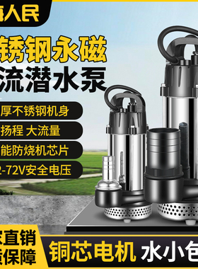 上海人民12V24V48V60V直流潜水泵不锈钢永磁电动车抽水泵高扬程