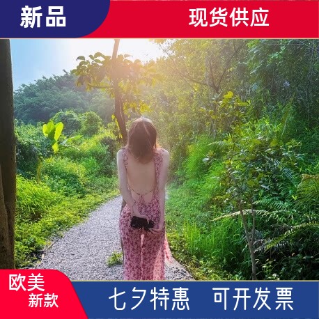 海边长裙度假风大露背碎花性感