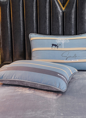 冬季珊瑚绒枕套2024新款纯棉加绒带拉链48cmx74cm枕皮ab版一面绒