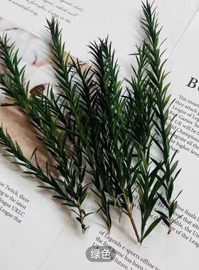 永生花千层金干花配草香薰蜡烛圣诞花环藤圈点缀材料Diy居家装饰