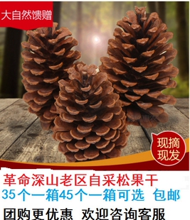 天然松果圣诞装饰干花幼儿园zakka松塔壳手工创意带钉松球DIY材料