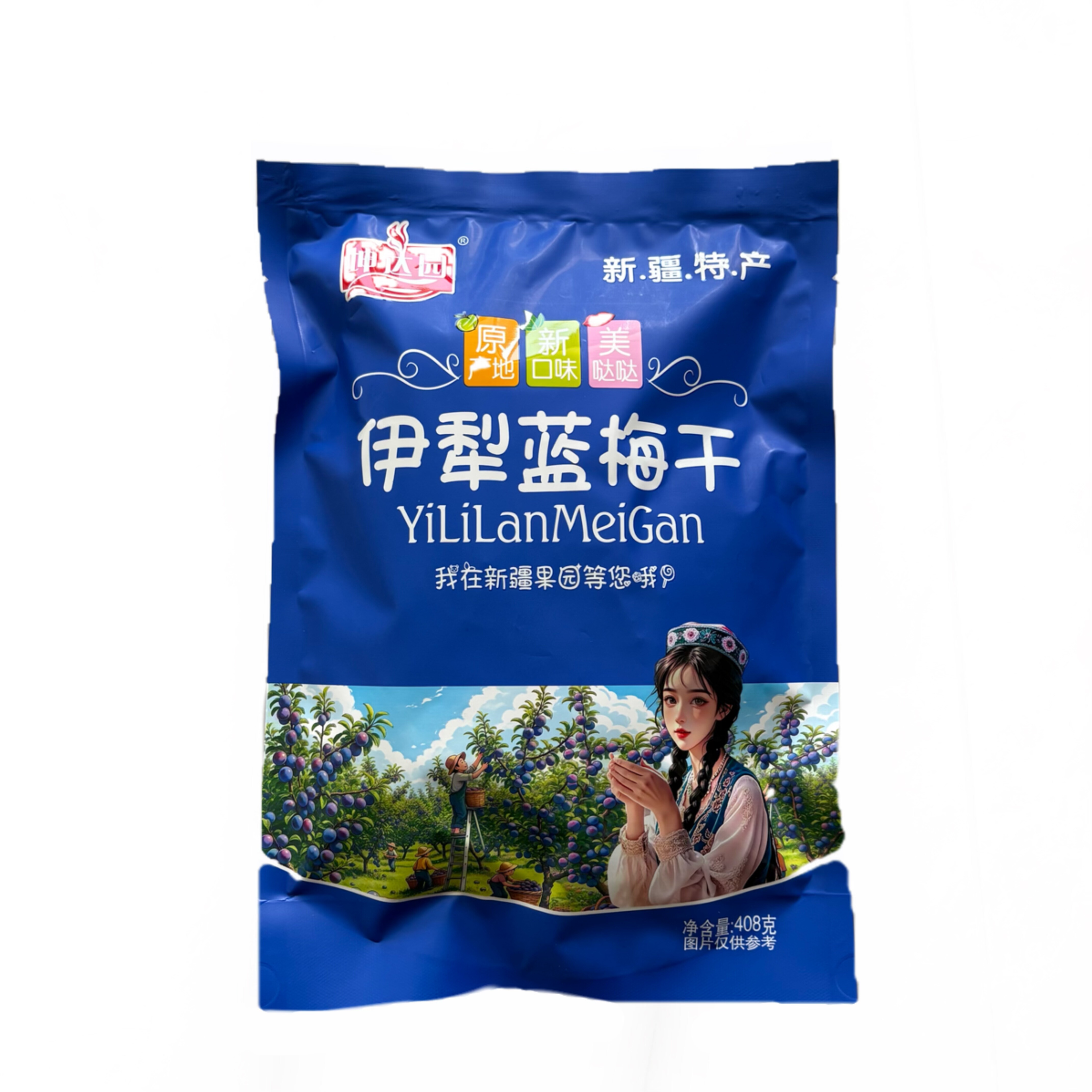 新疆直发 坤达园伊犁蓝莓干蓝梅梅类制品