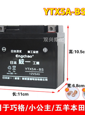 适用五羊本田小公主100巧格凌鹰100踏板摩托车电池YTX5A-BS干电瓶