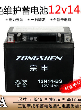三轮摩托车电瓶12V14A免维护蓄电池175/150款车干电瓶