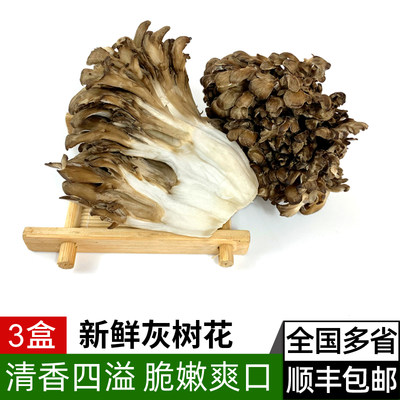 新鲜舞茸150g/盒*3盒食用菌菇