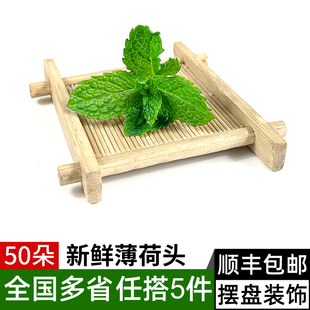 薄荷尖叶可食用蛋糕烘焙调酒莫吉托茶饮奶茶装 新鲜薄荷头50朵 饰